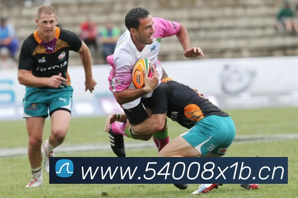 开云网页版登录入口手机版APP 体育赛事宣传图